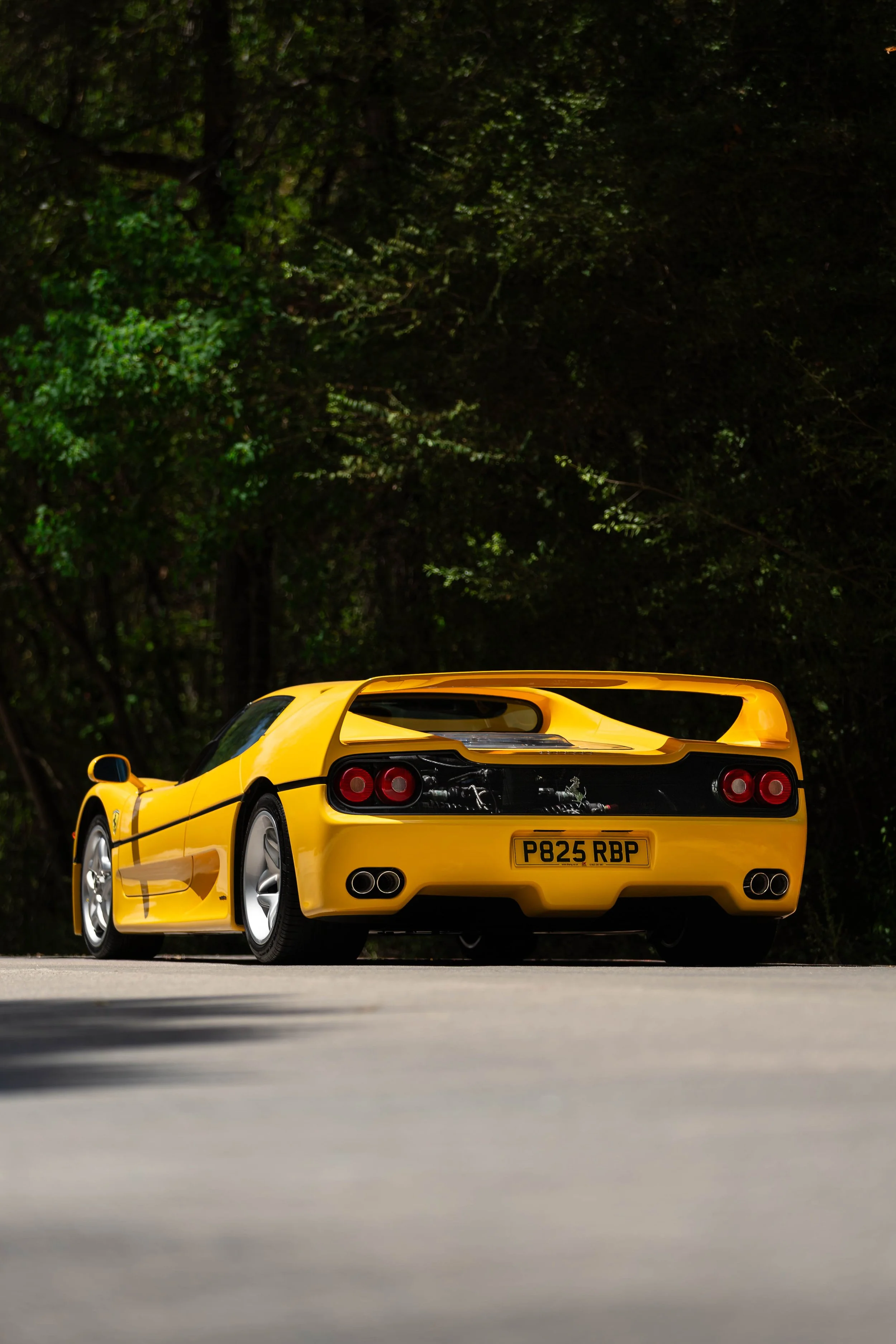 6W2A9342-Enhanced-NR-Edit.jpg