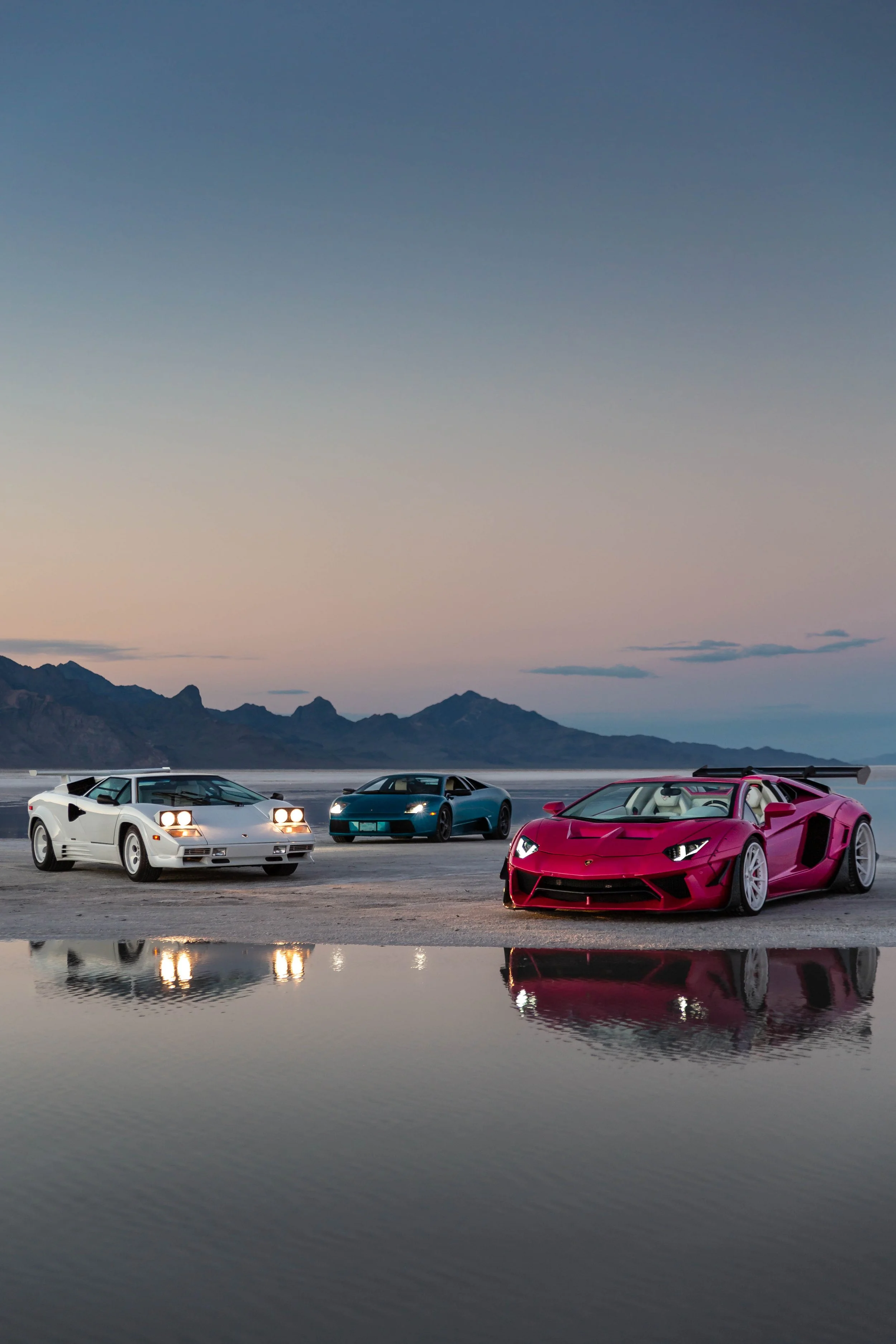 stradman-lambo-alpacas-10.jpg
