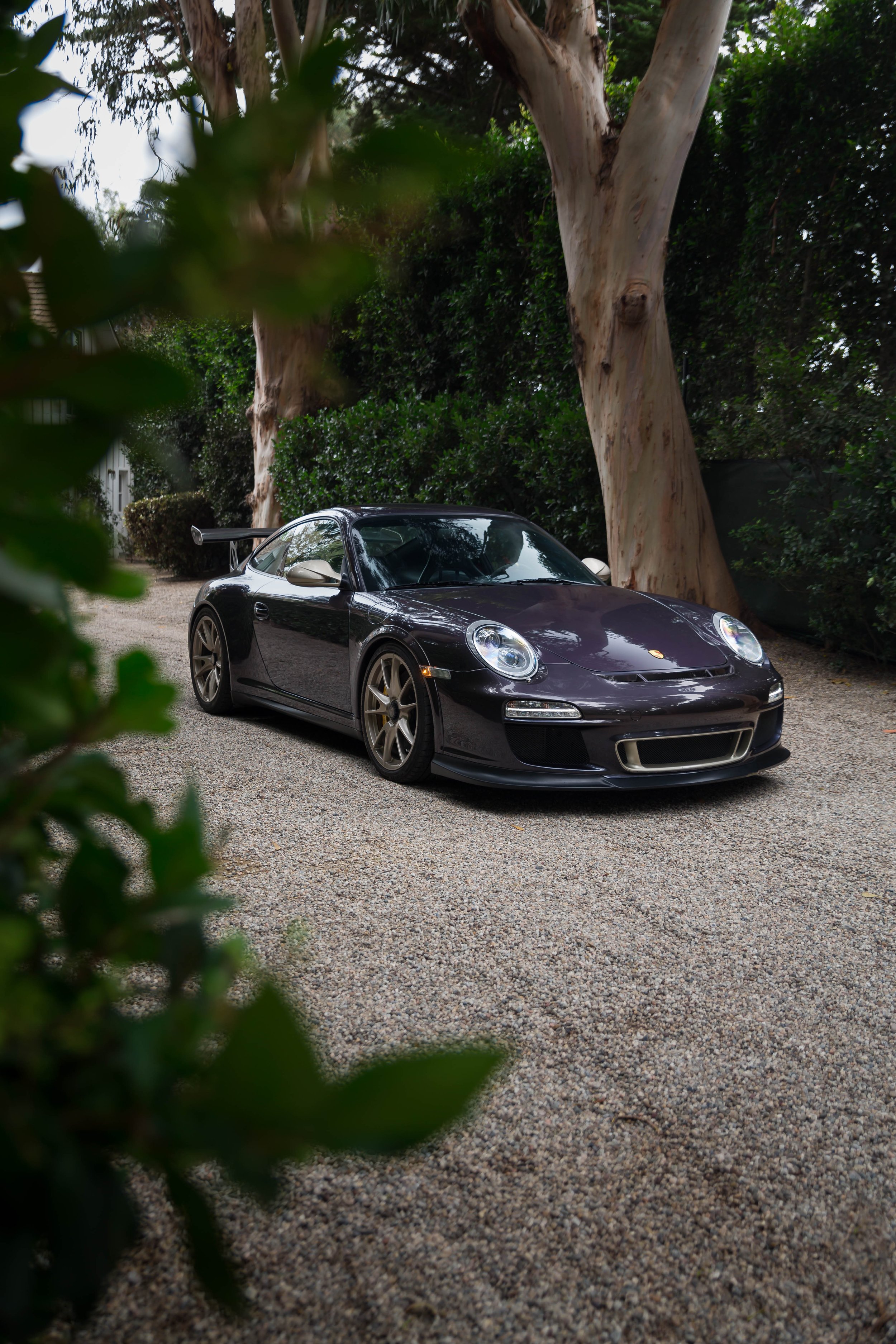 6W2A4105-Edit.jpg