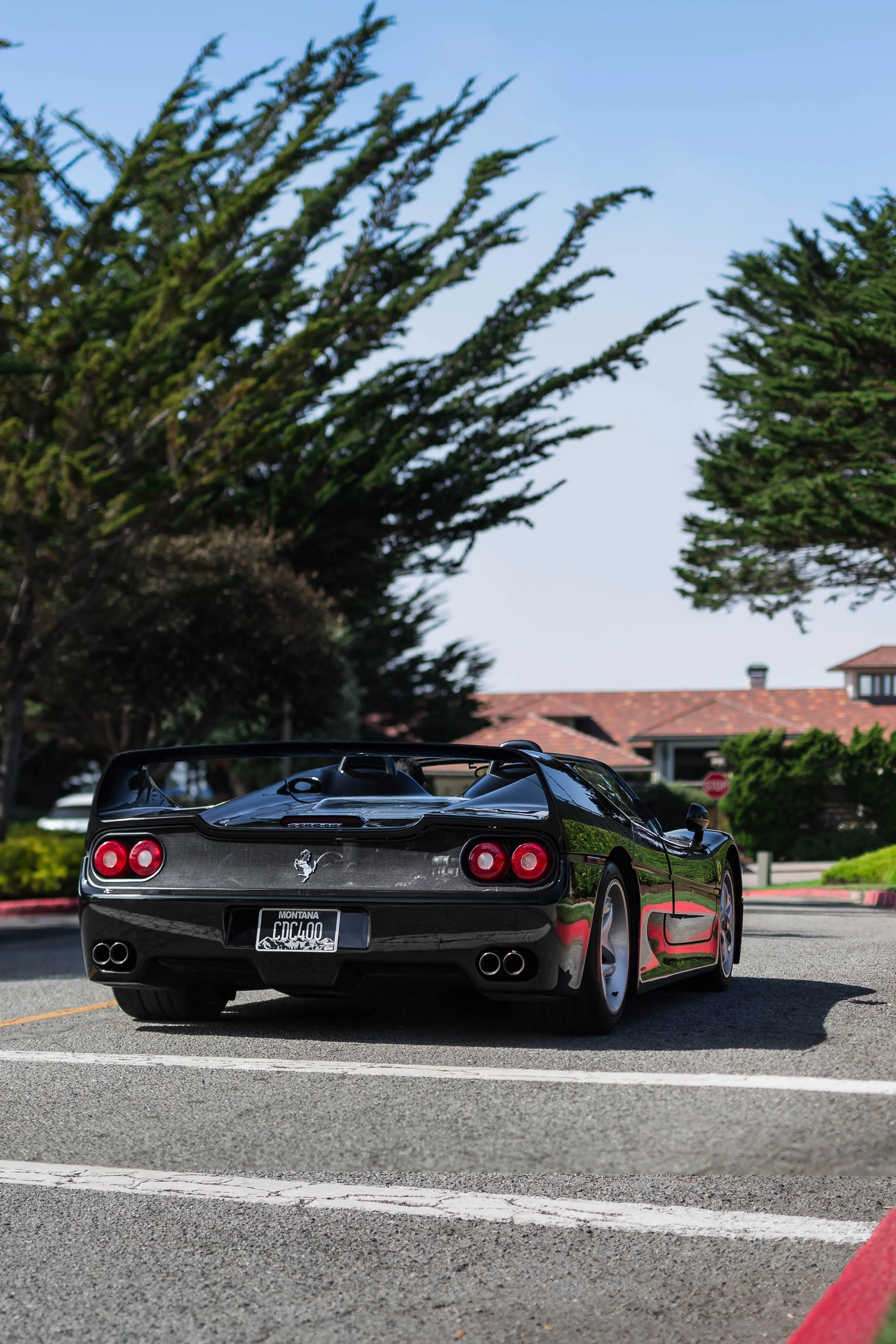 6W2A1372-Edit.jpg