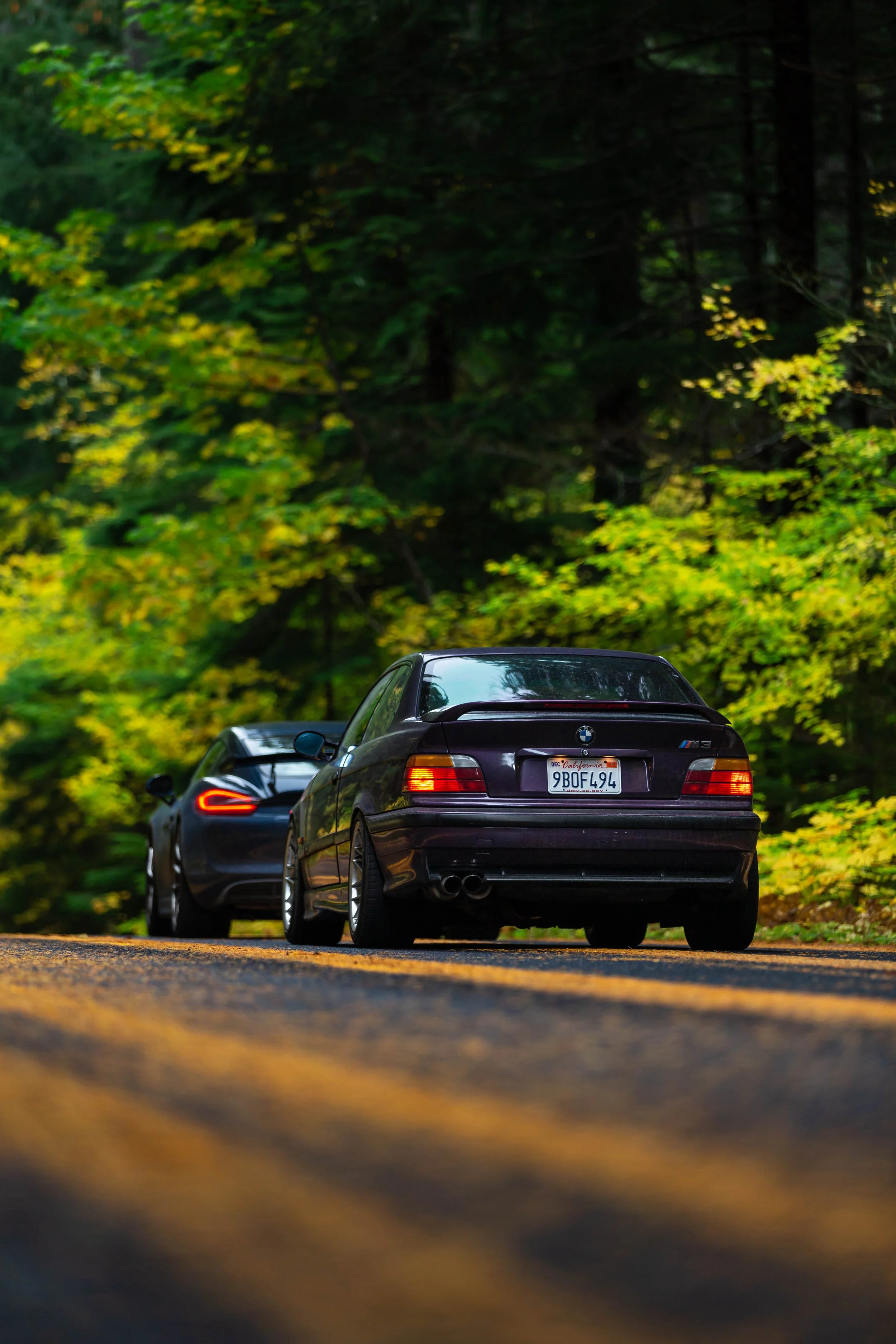 6W2A8542-Edit.jpg