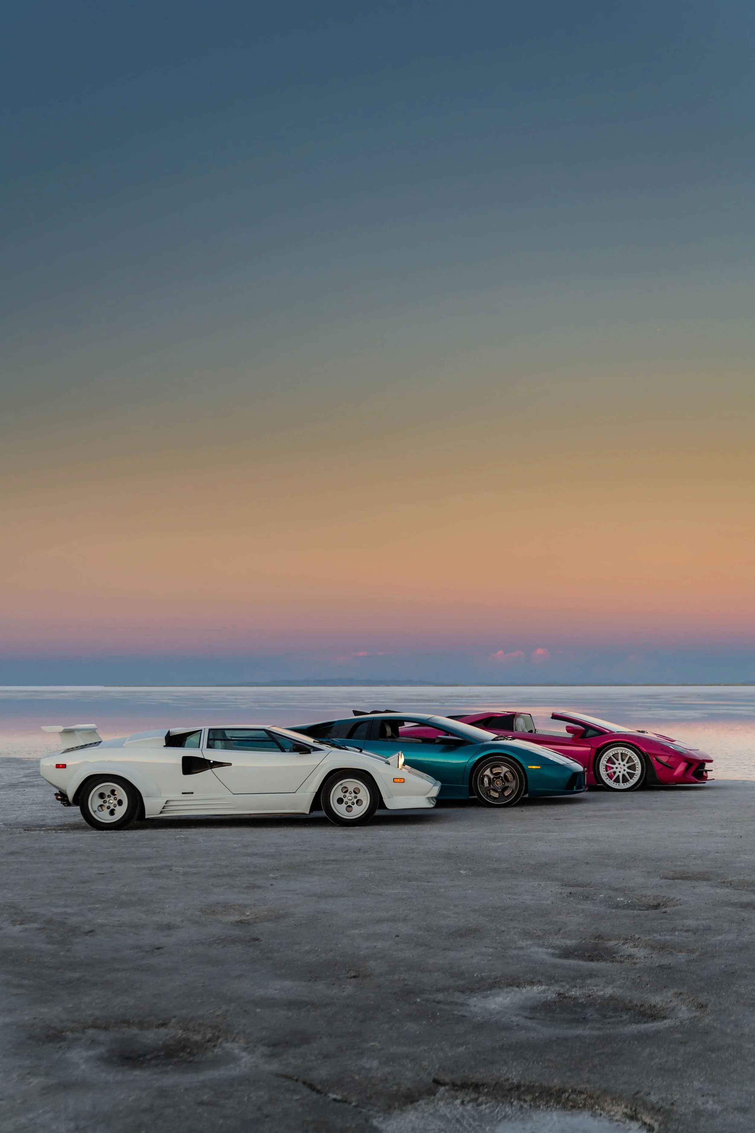 stradman-lambo-alpacas-12.jpg