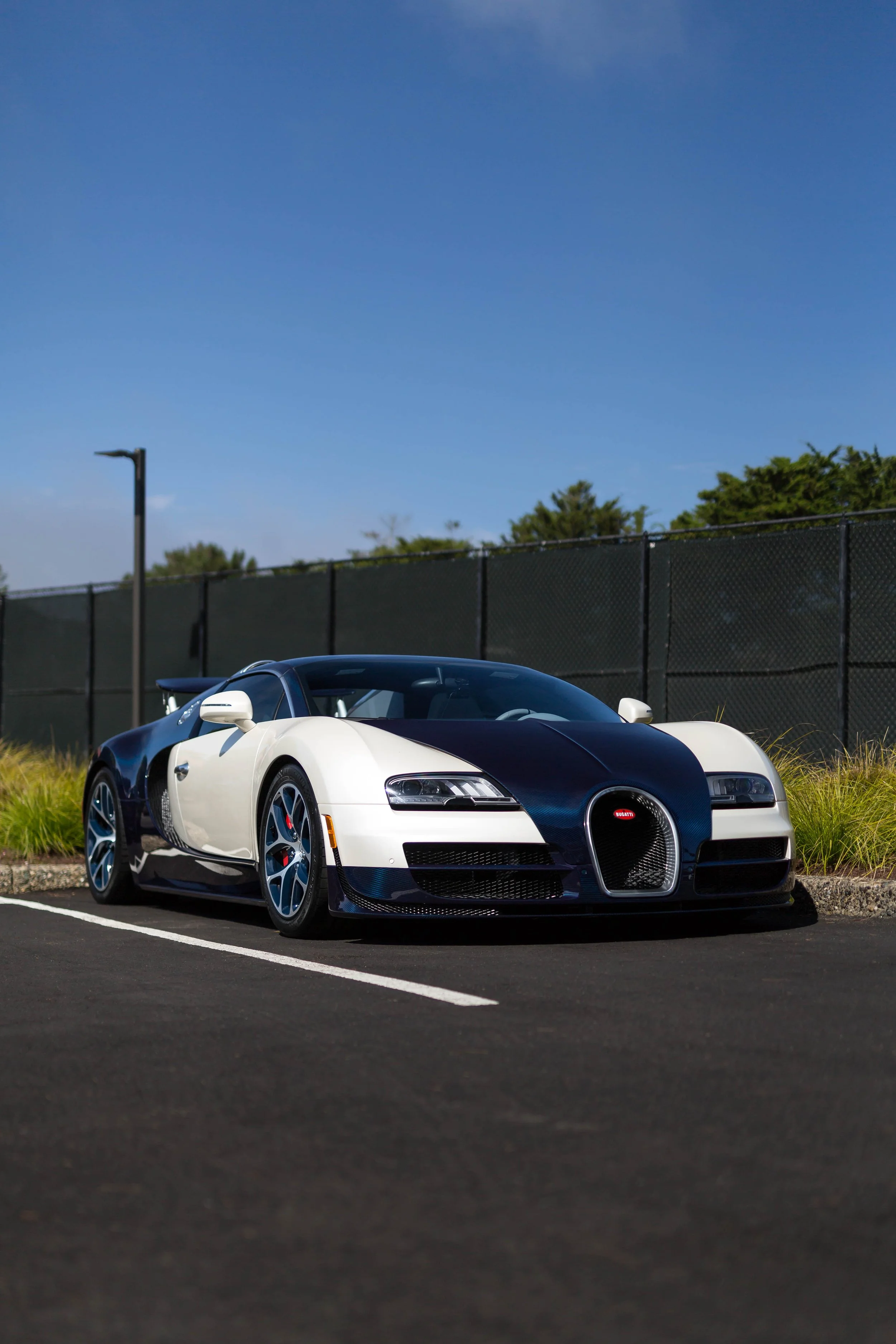 6W2A1325-Edit.jpg