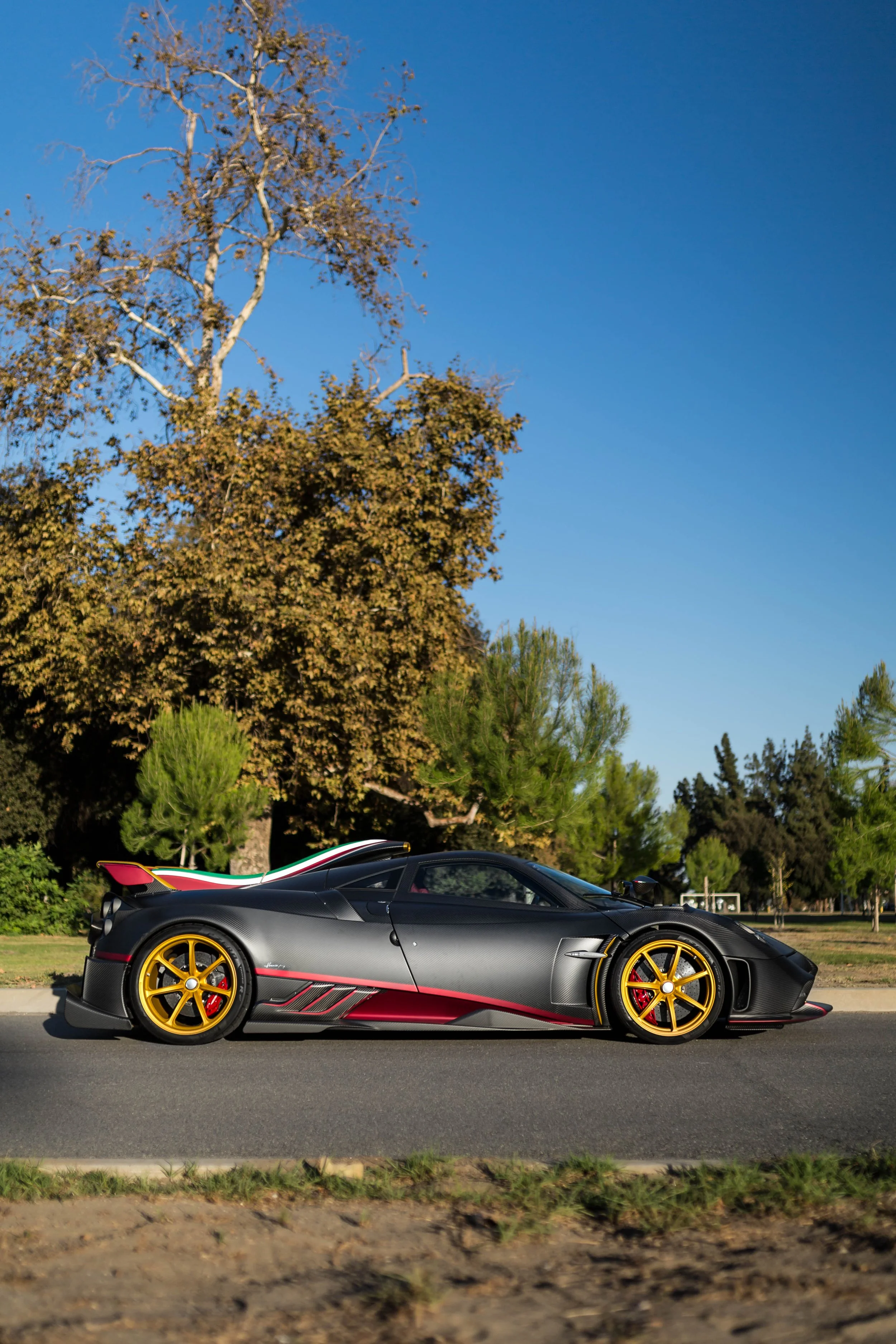 6W2A6000-Edit.jpg
