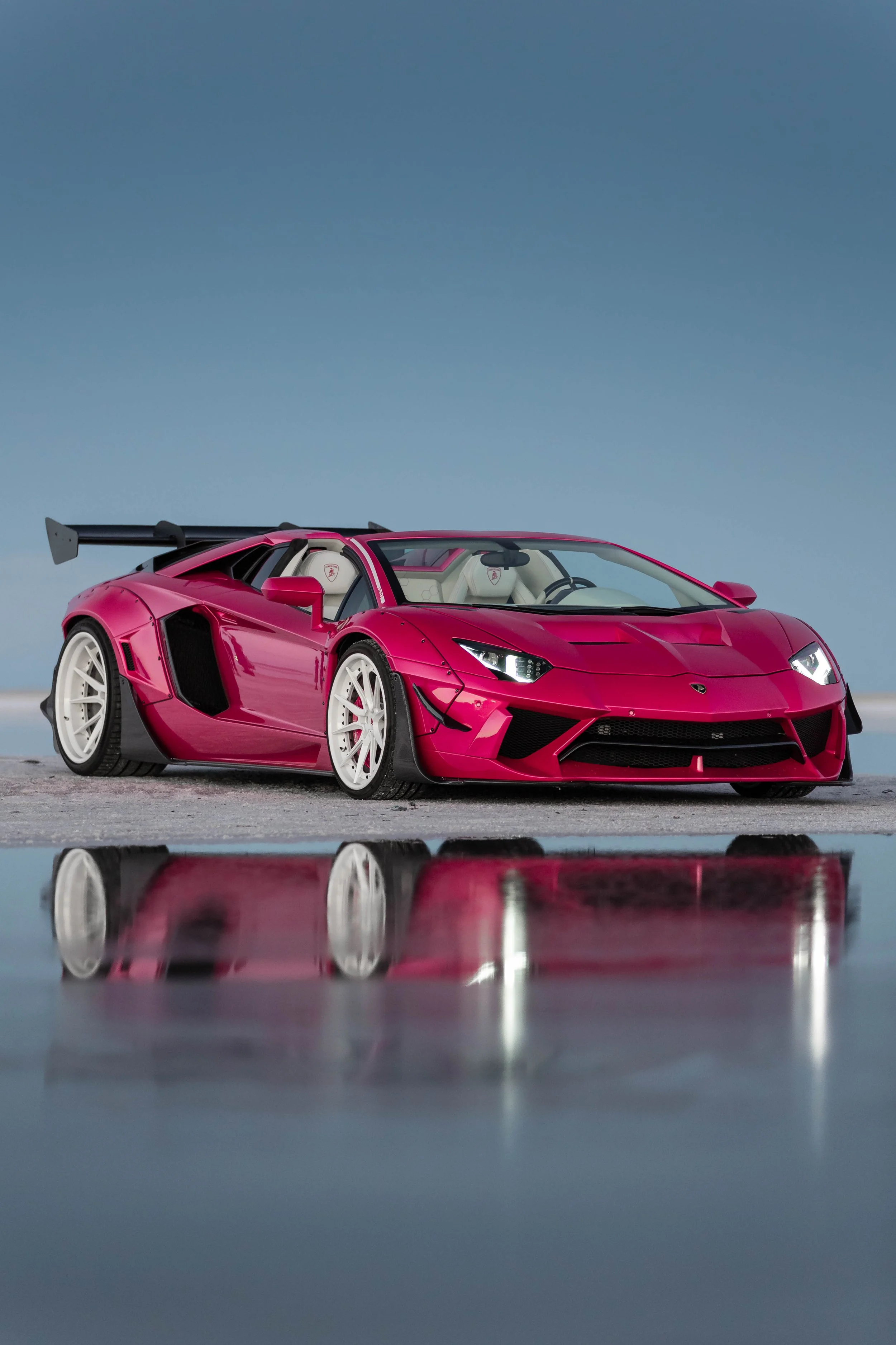 stradman-lambo-alpacas-14.jpg