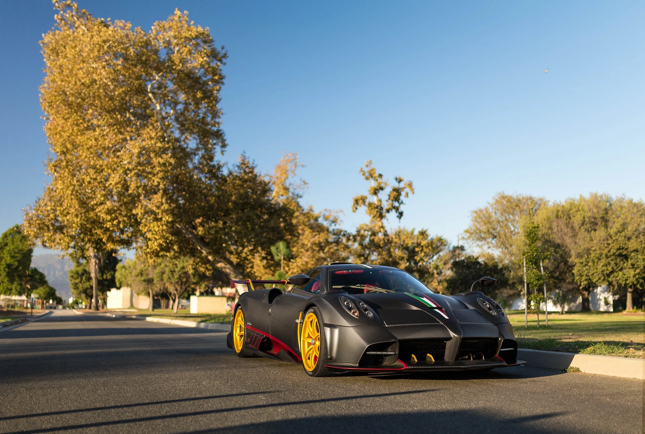 6W2A6058-Edit-Edit.jpg