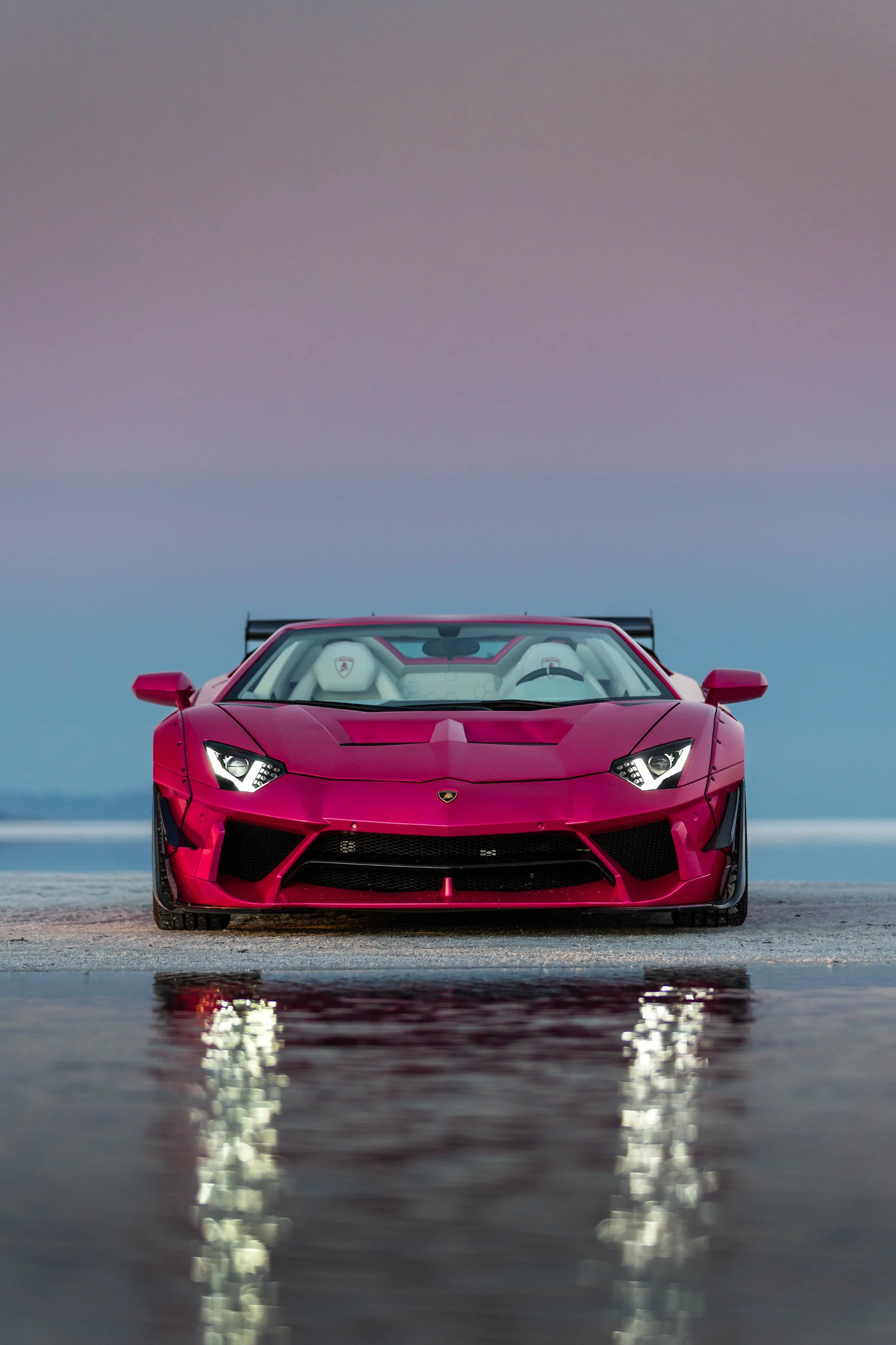 stradman-lambo-alpacas-8.jpg
