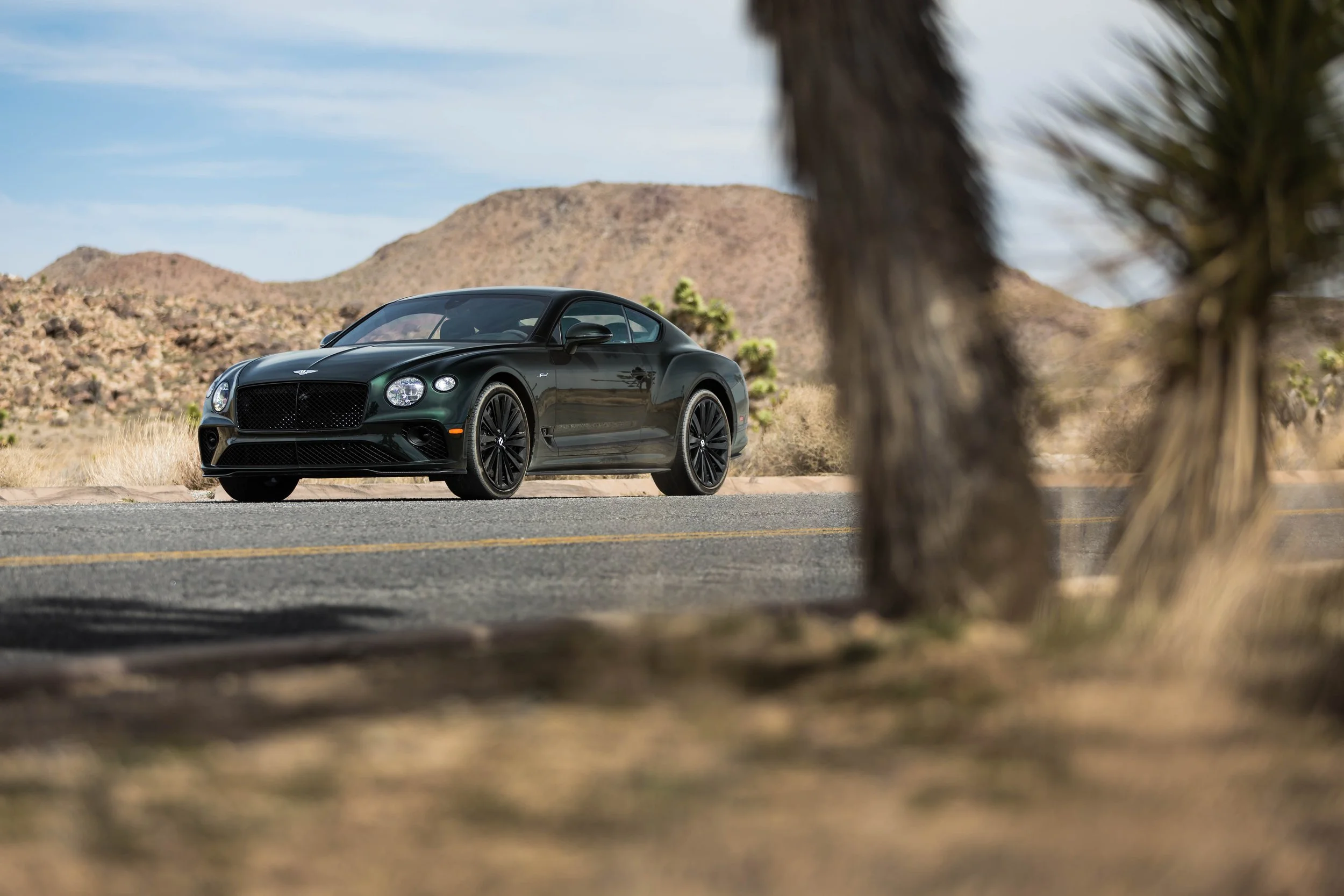 6W2A3088-Edit.jpg