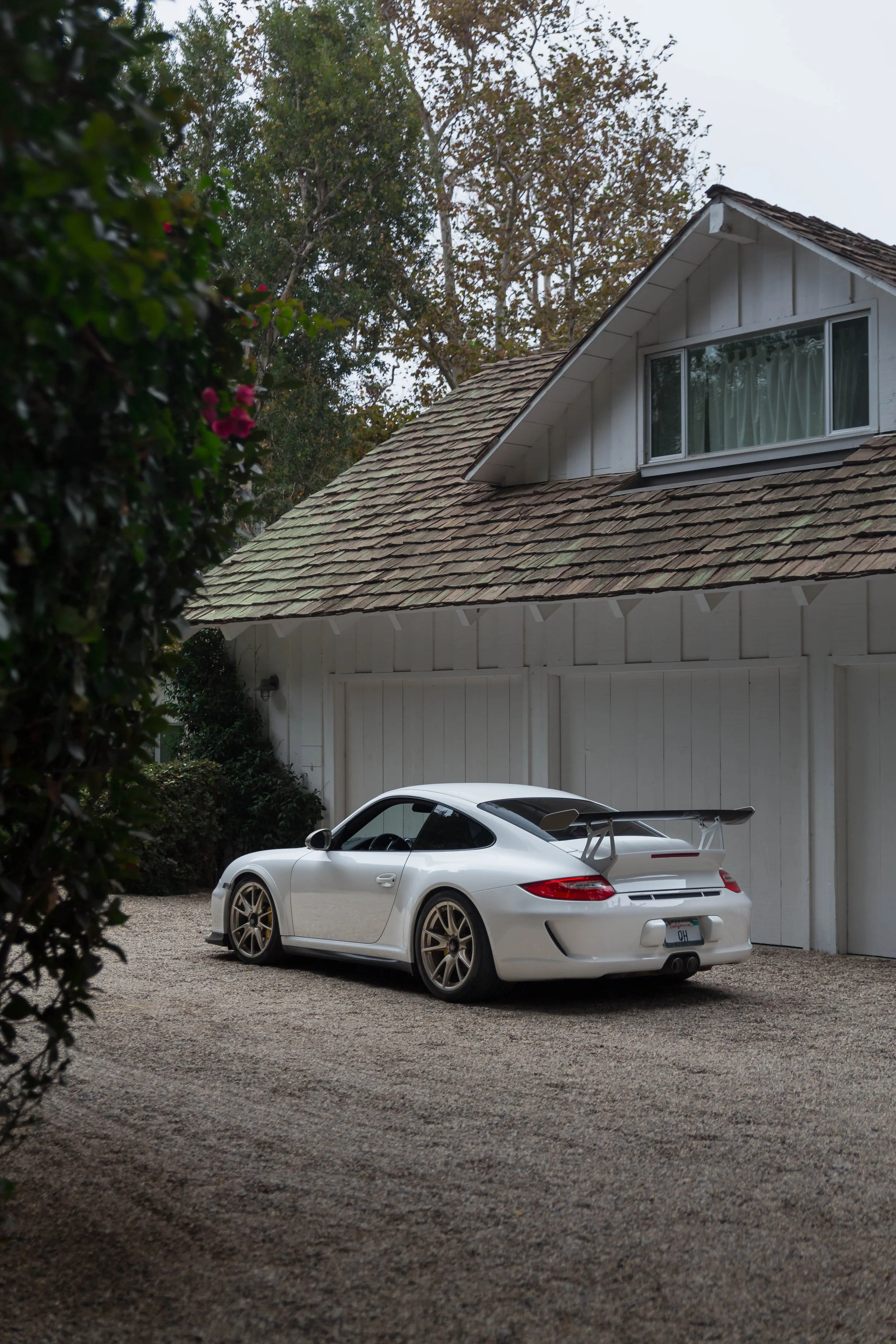 6W2A4136-Edit.jpg