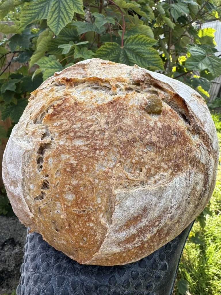 Olive and Herb Sourdough