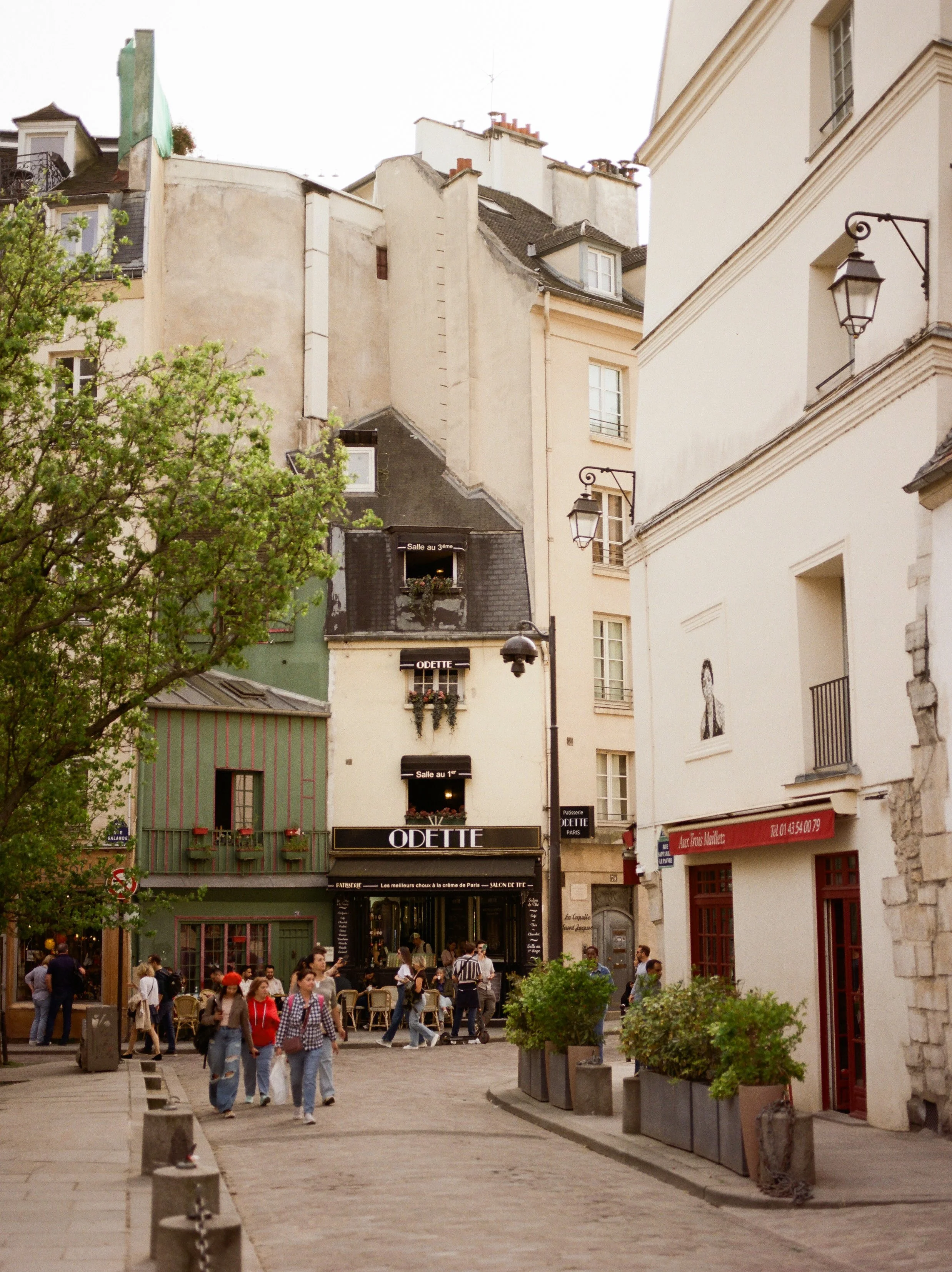 657170010012-2 2.jpg