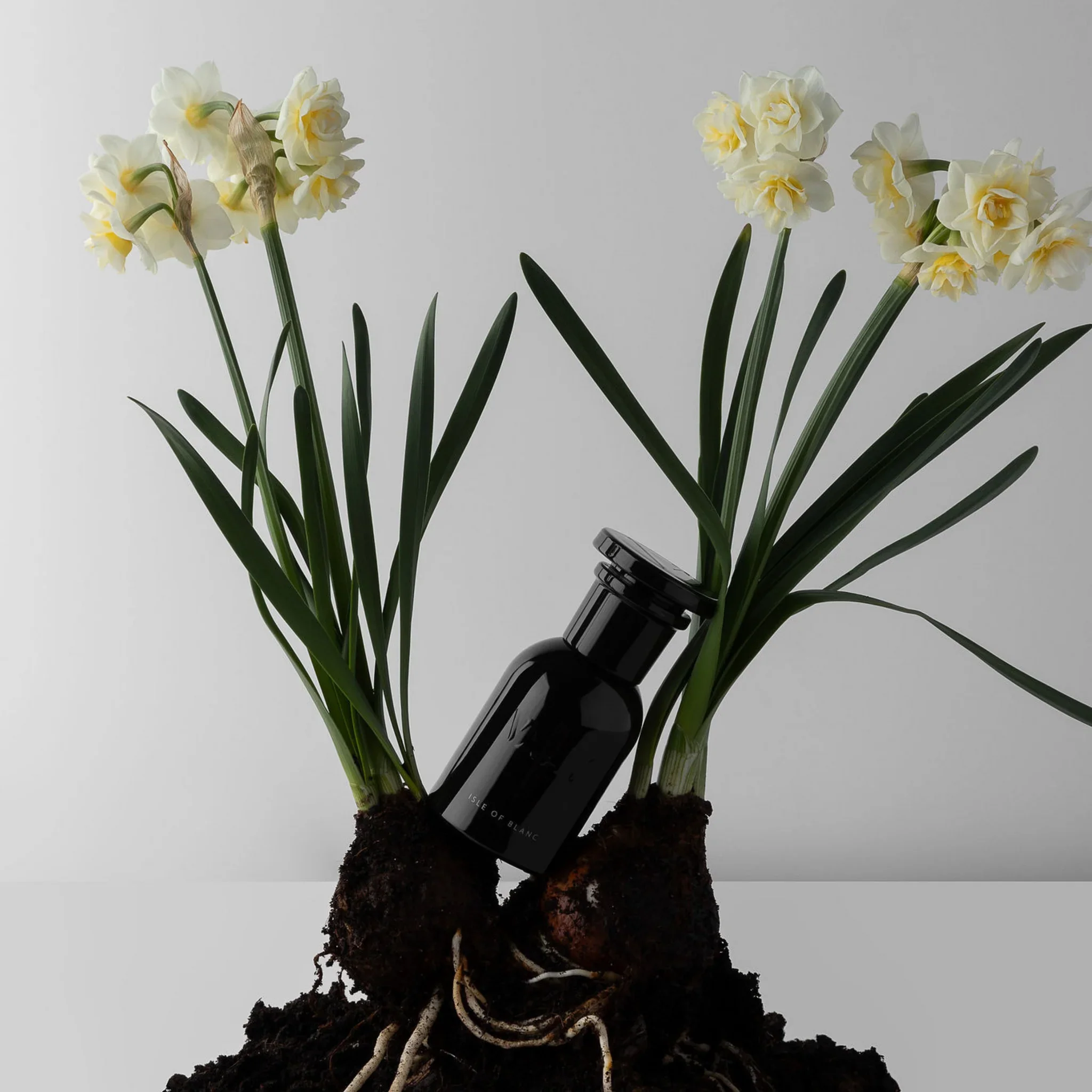 Isle of Blanc | 50ml
