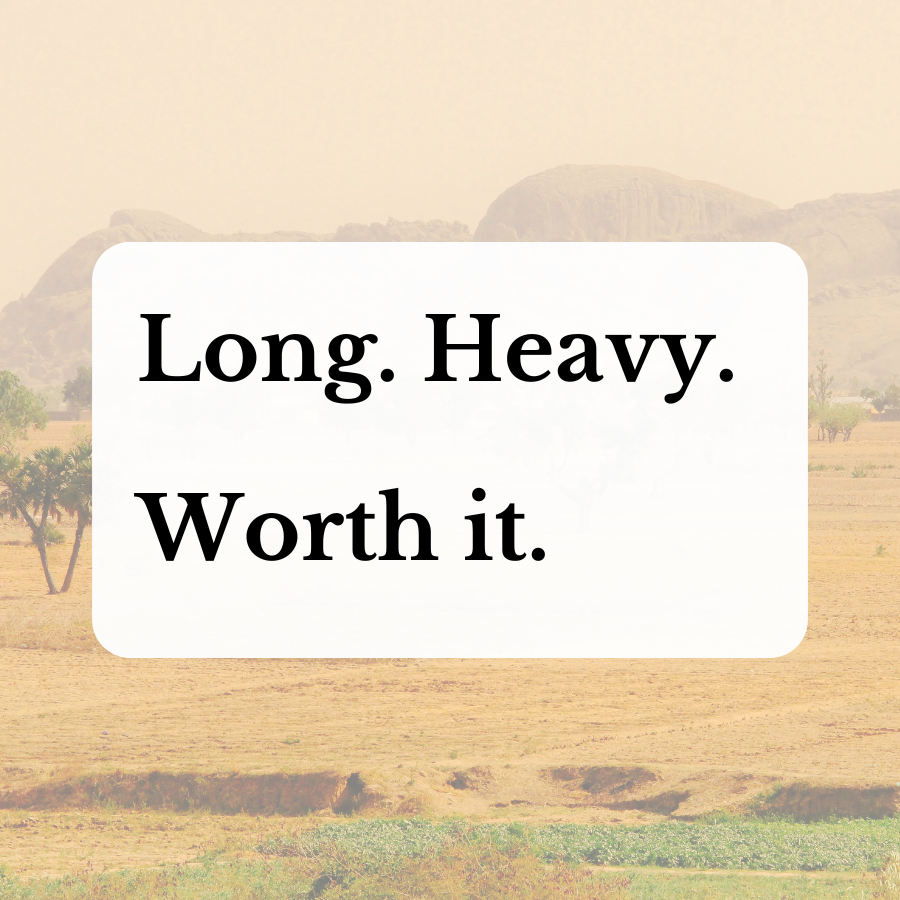 A Big, Brave Novel: Half of a Yellow Sun by Chimamanda Ngozi Adichie