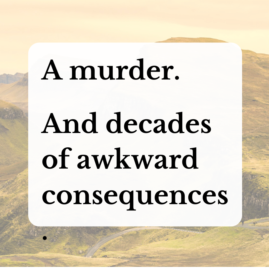 A Crime Novel That Refuses to Behave Like One: The Distant Echo by Val McDermid