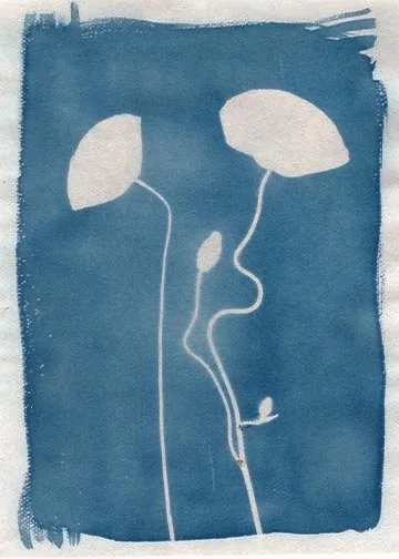 Original_PoppiesSpring2024_018.jpg