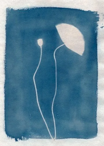 Original_PoppiesSpring2024_020.jpg