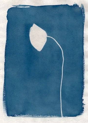 Original_PoppiesSpring2024_019.jpg