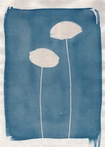 Original_PoppiesSpring2024_017.jpg