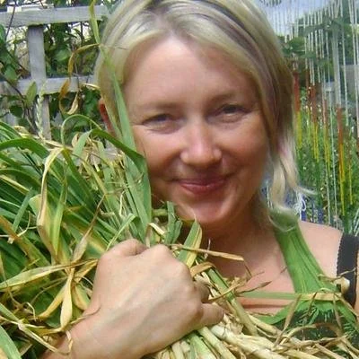 Best Gardening Blogs Incredible Vegetables