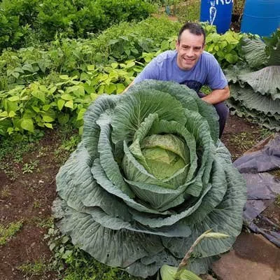 Best Gardening blogs Simplify Gardening