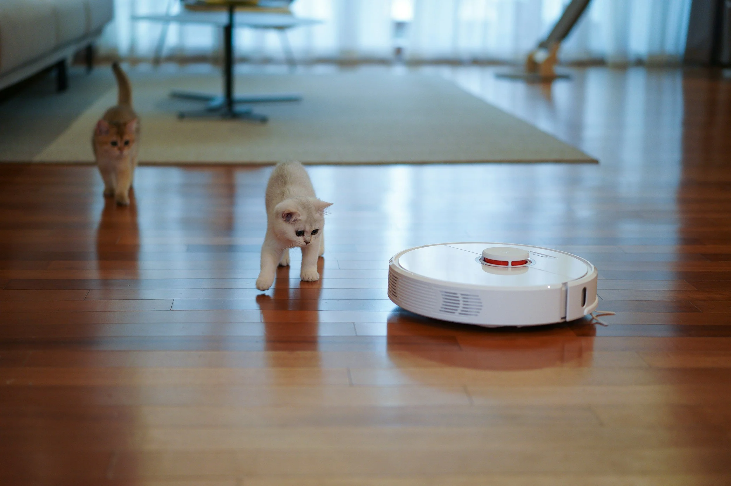 Is a robot vacuum worth it? 