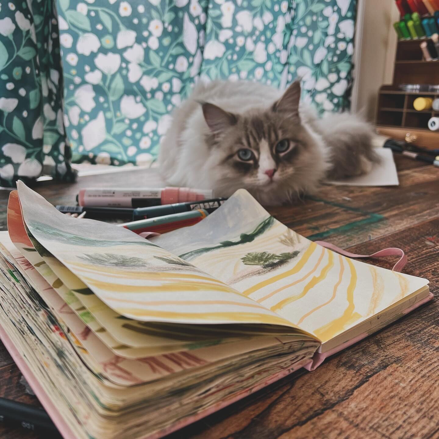 Cat. Sketchbook. Pencils. Markers. The Dream.

#studiocat #dailysketches #dailysketchbook #abstractlandscape #newenglandartist