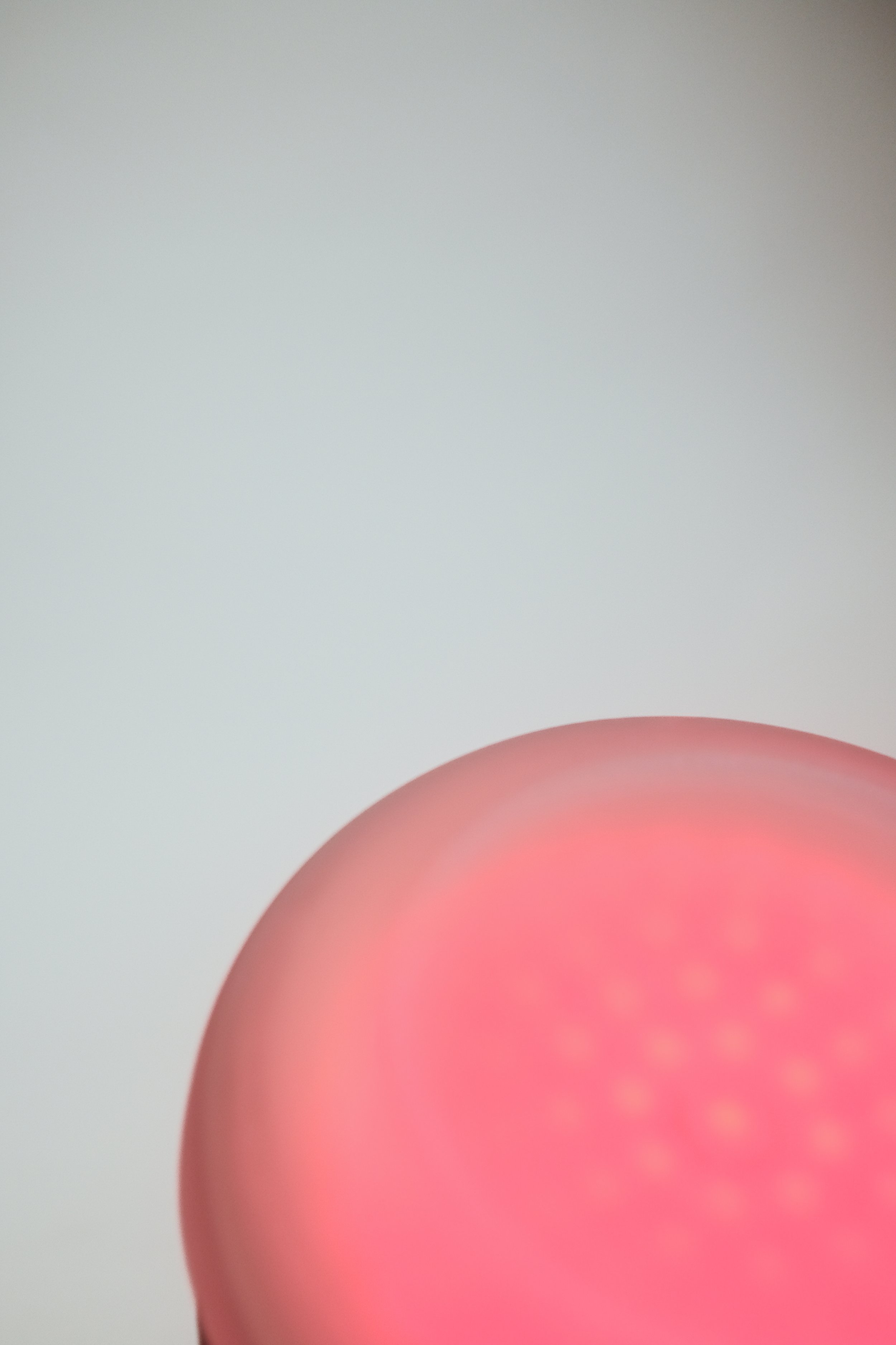 DSCF3116.jpg