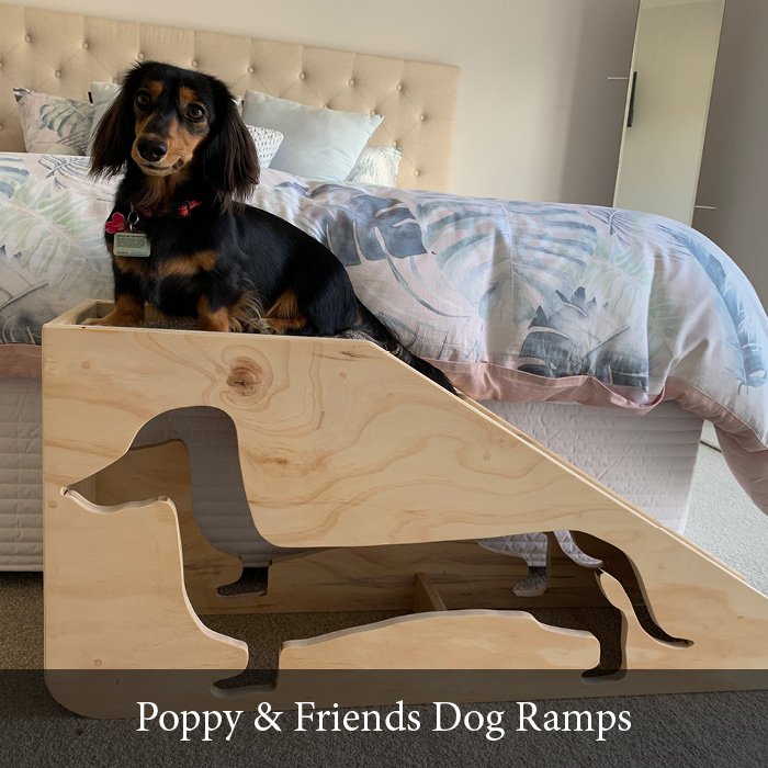 Dog Steps For Dachshunds