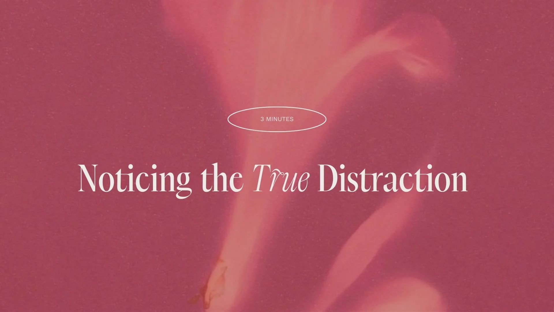 Meditation 03 (Noticing the True Distraction)