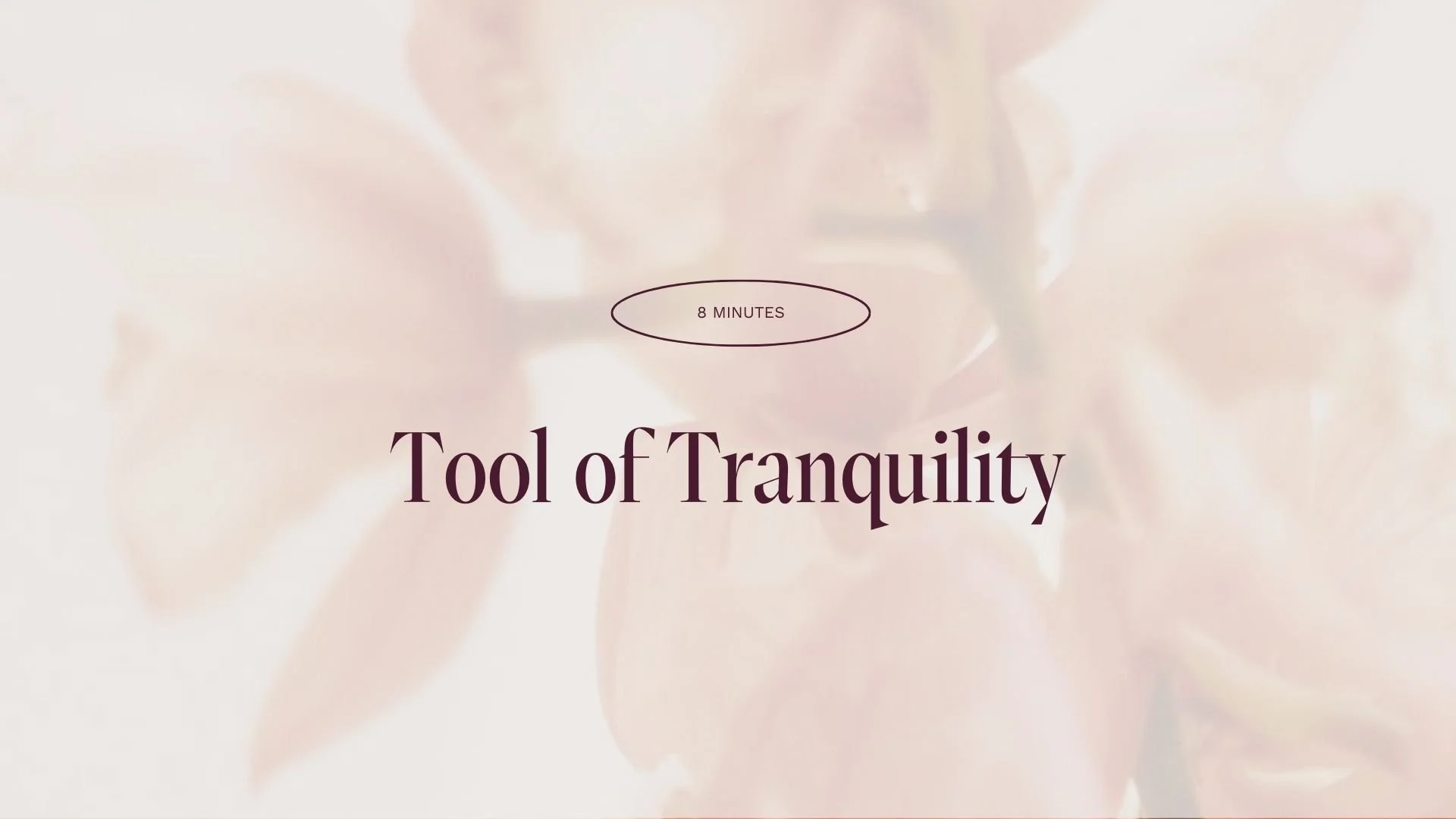 Meditation 05 (Tool of Tranquility)