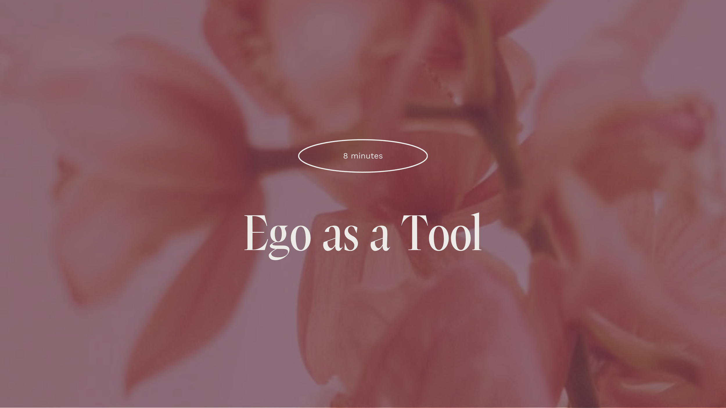 Meditation 06 (Tool of Ego) 