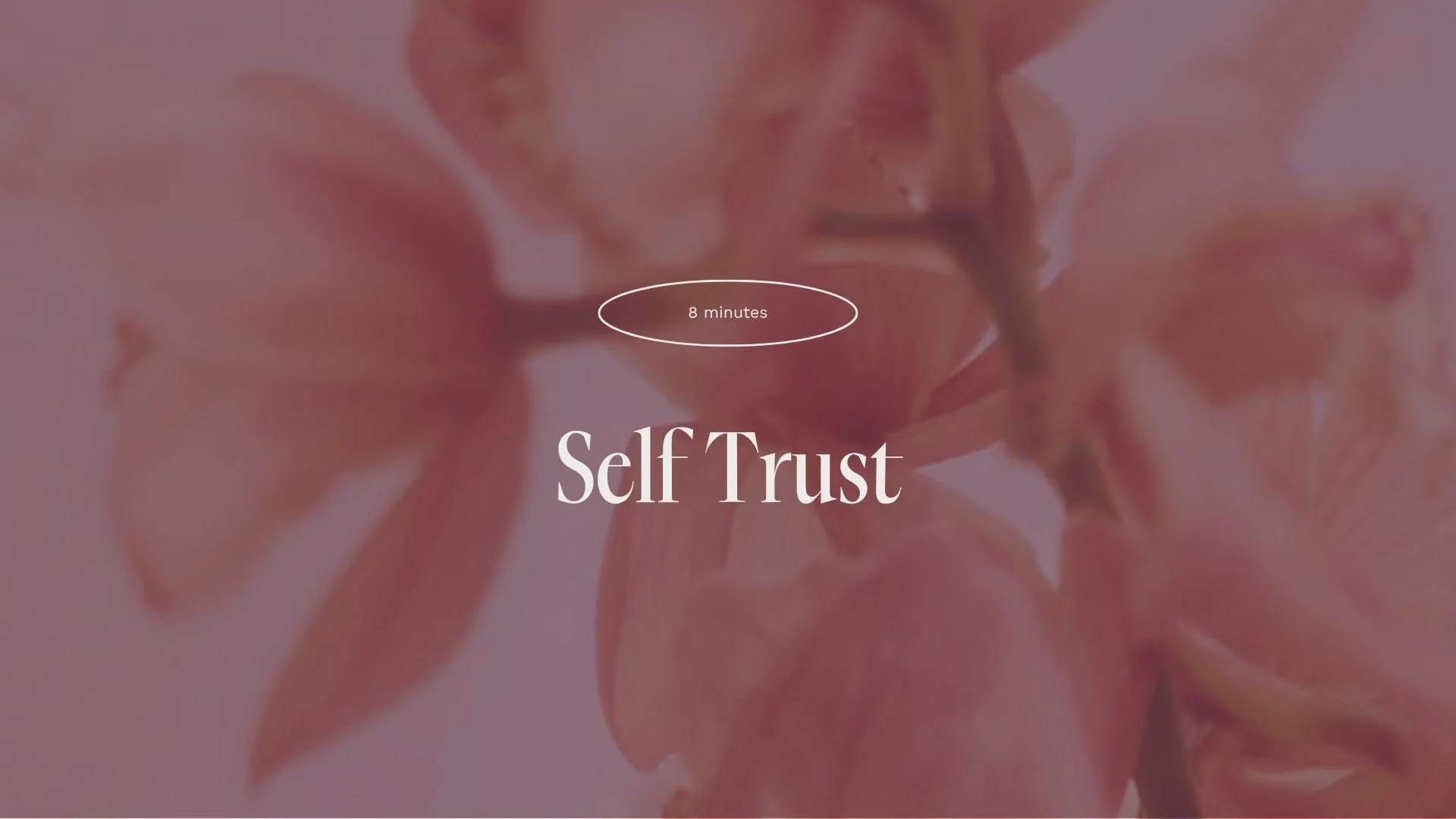 Meditation 13 (September - Self Trust)