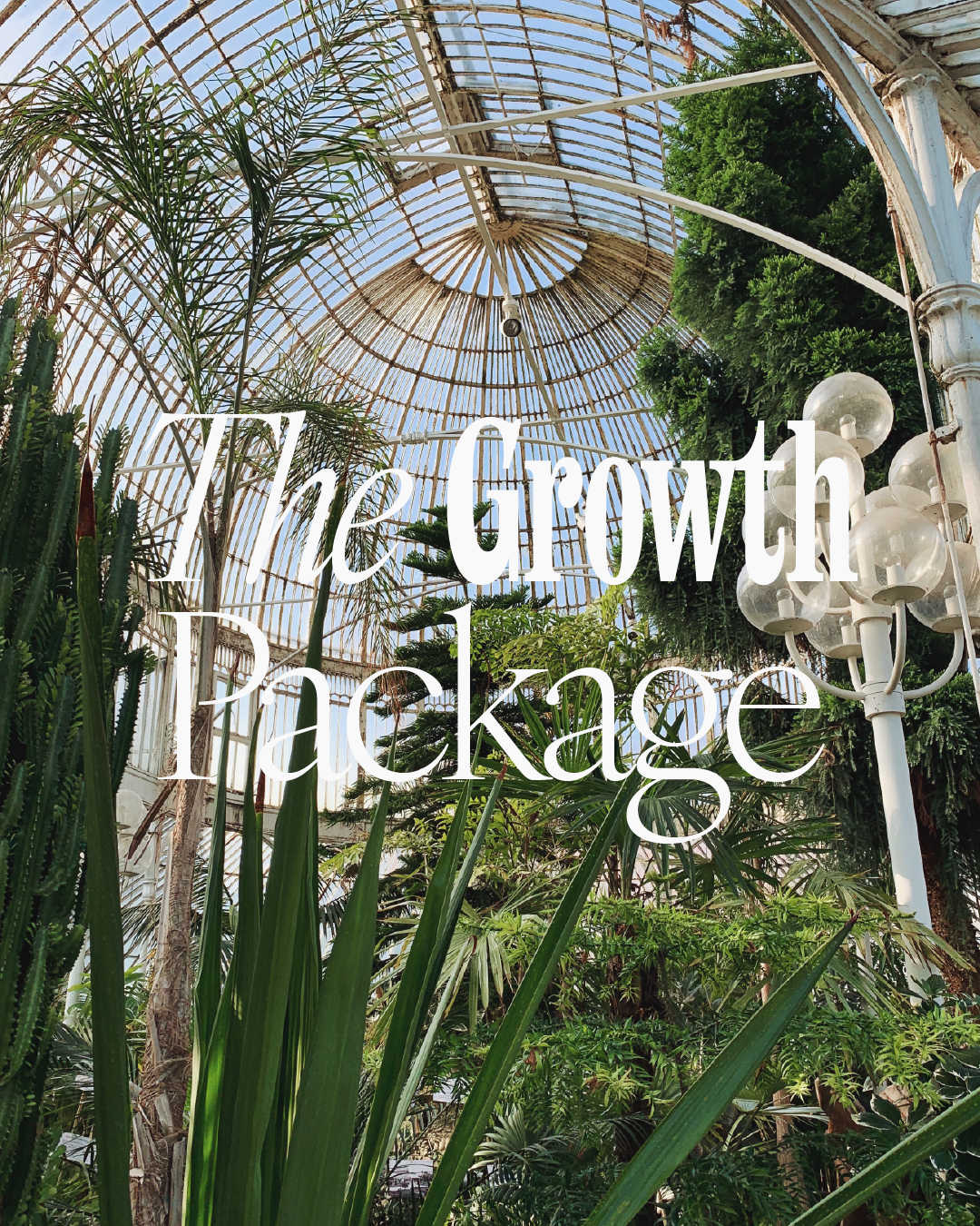 TheGrowthPackage.png