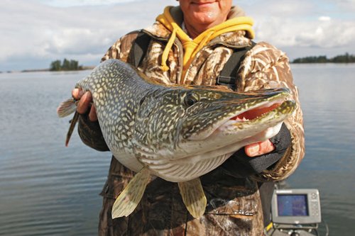 Autumn Pike Fishing with BIG Lures! 