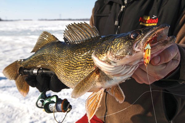 Ice Fishing for Walleye: Tips and Tricks 