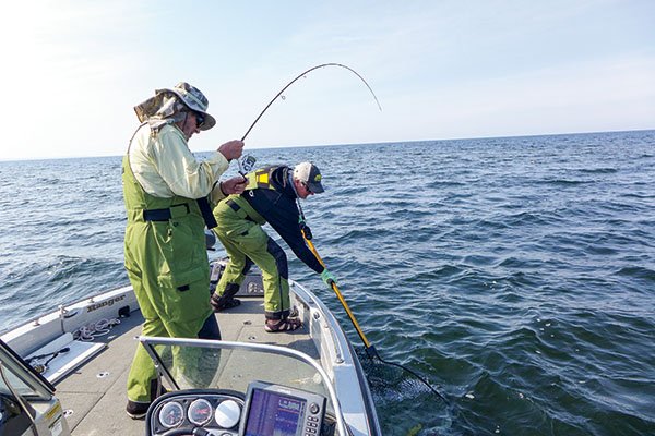 Vertical Fishing for Walleyes — Fish Face Goods