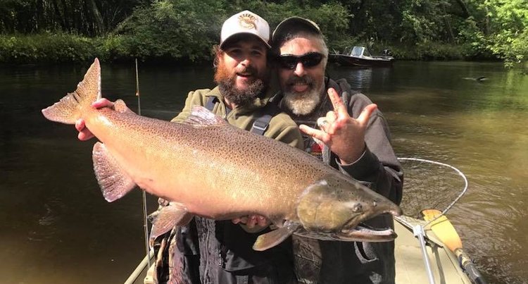 It's the Year For Big Michigan King Salmon and Here's How to Catch Them —  Fish Face Goods