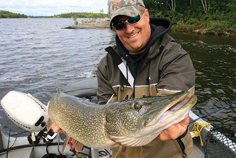 Softbaits For Fishing Big Muskie And Pike — Fish Face Goods