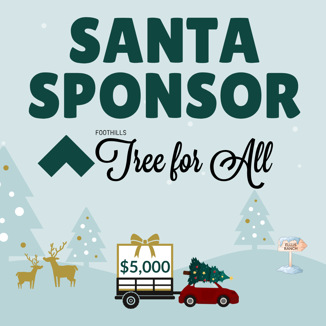 1-Santa.png