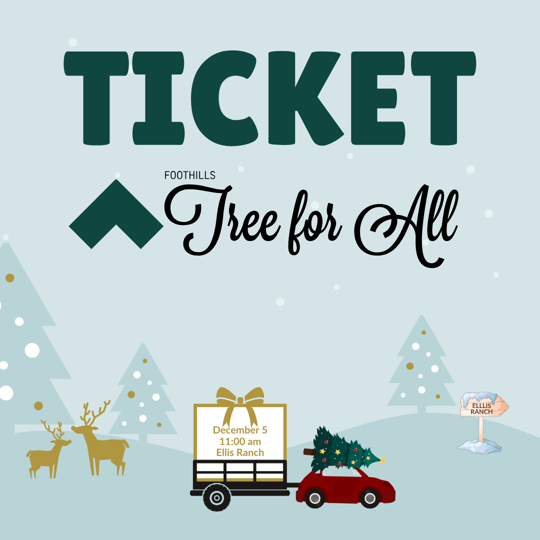 Ticket (Squarespace).png