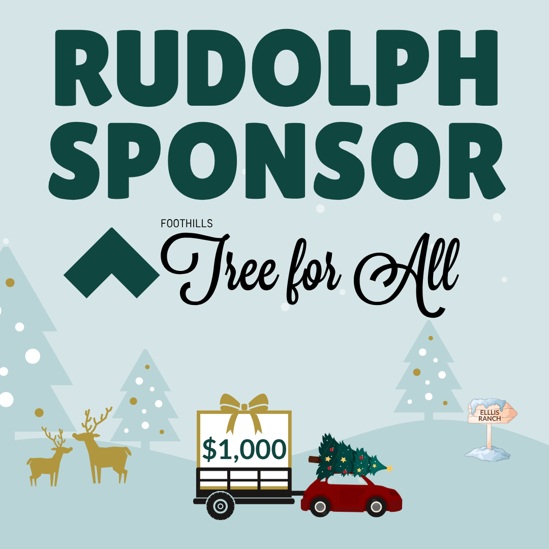3-Rudolph.png