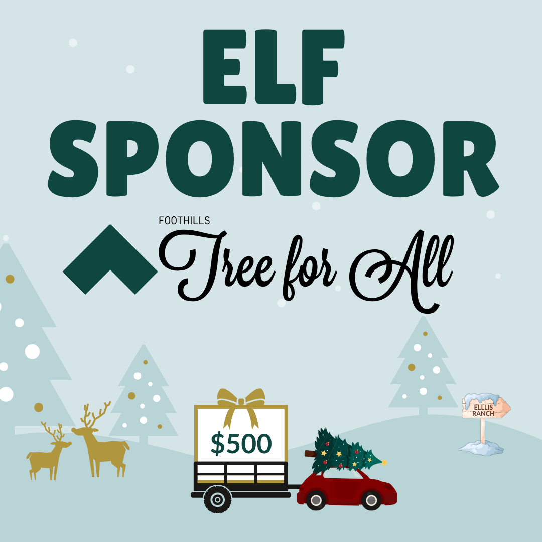 4-Elf.png