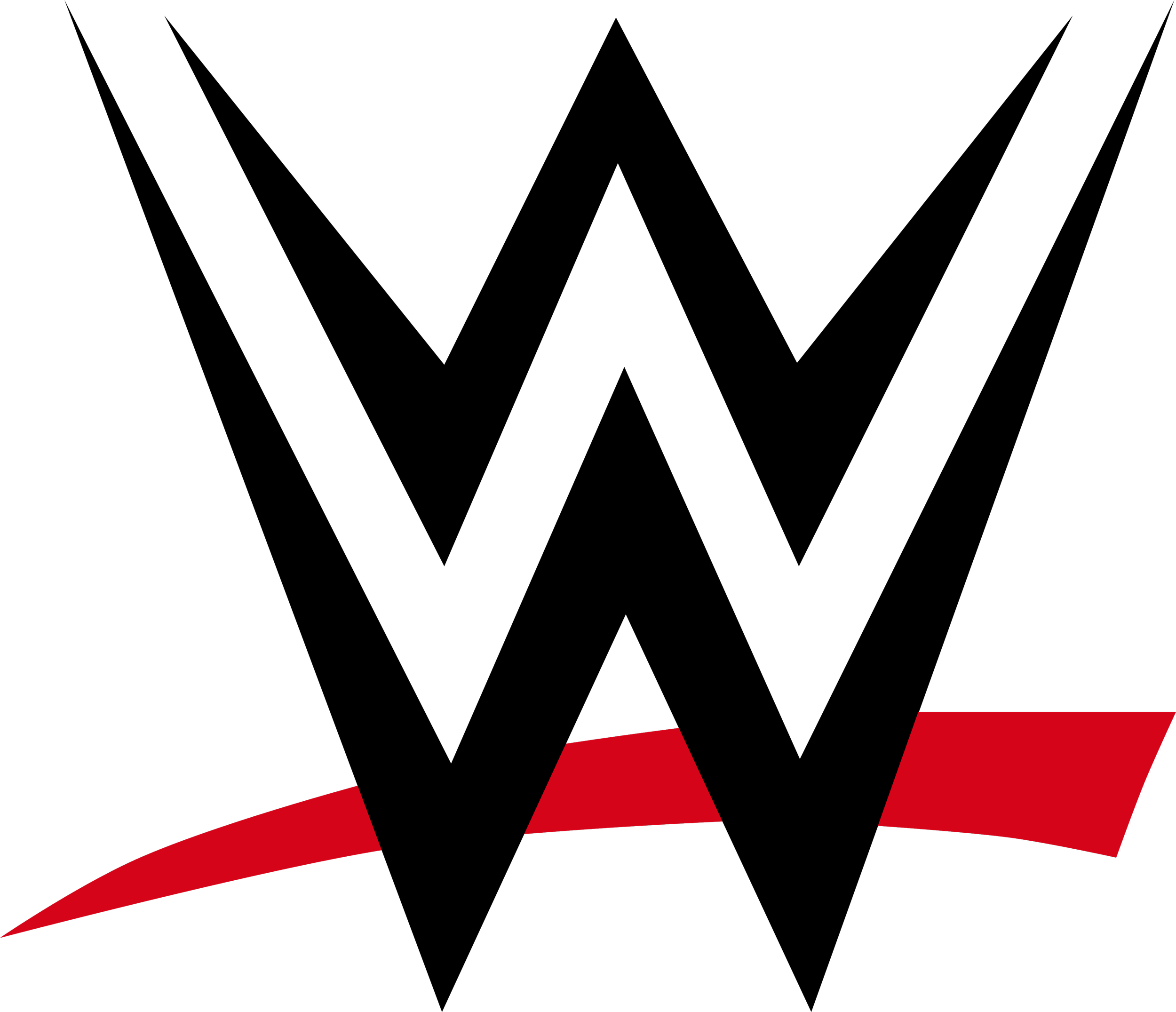 WWE Wrestling