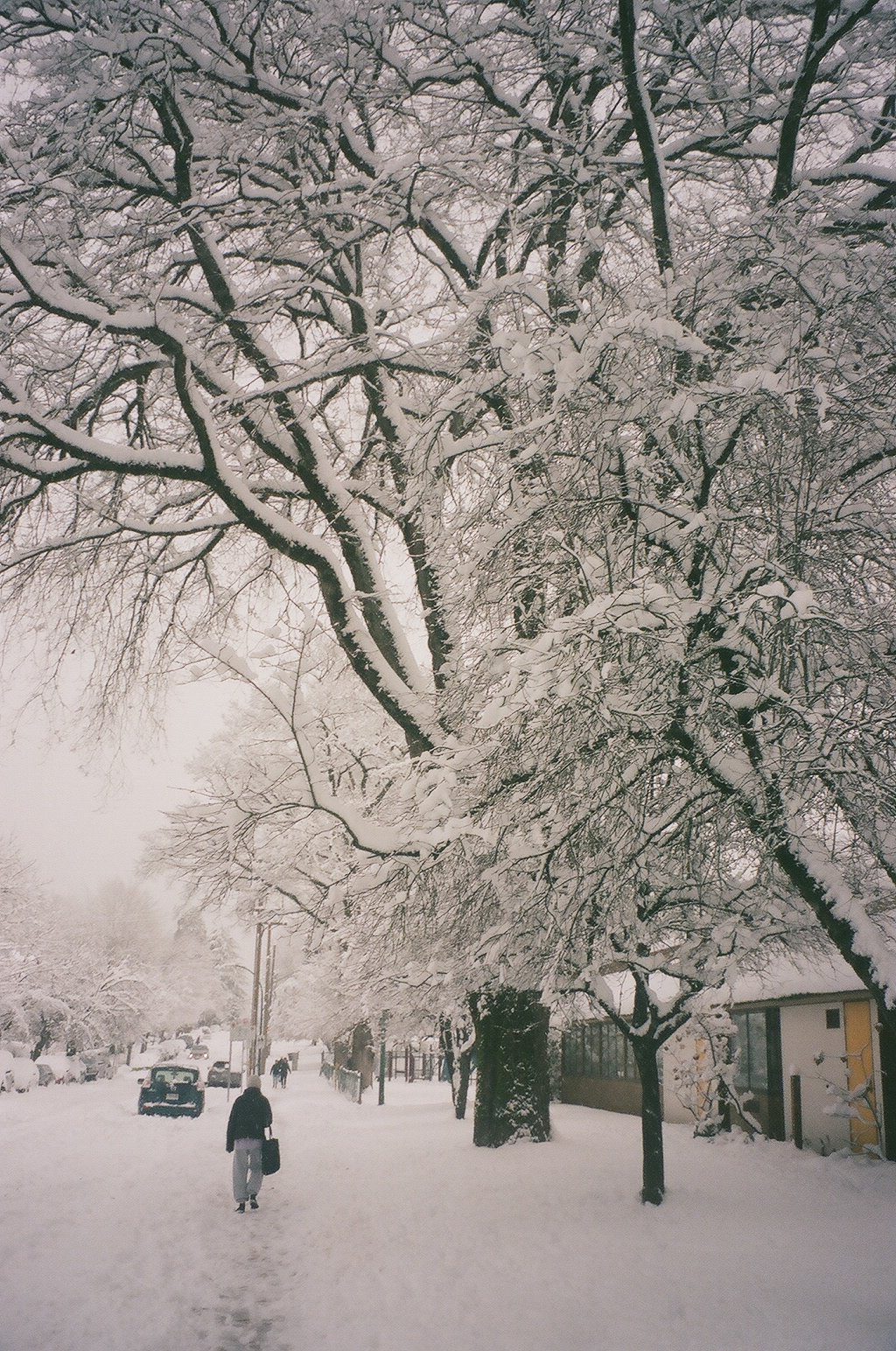 snowdays--02.jpg