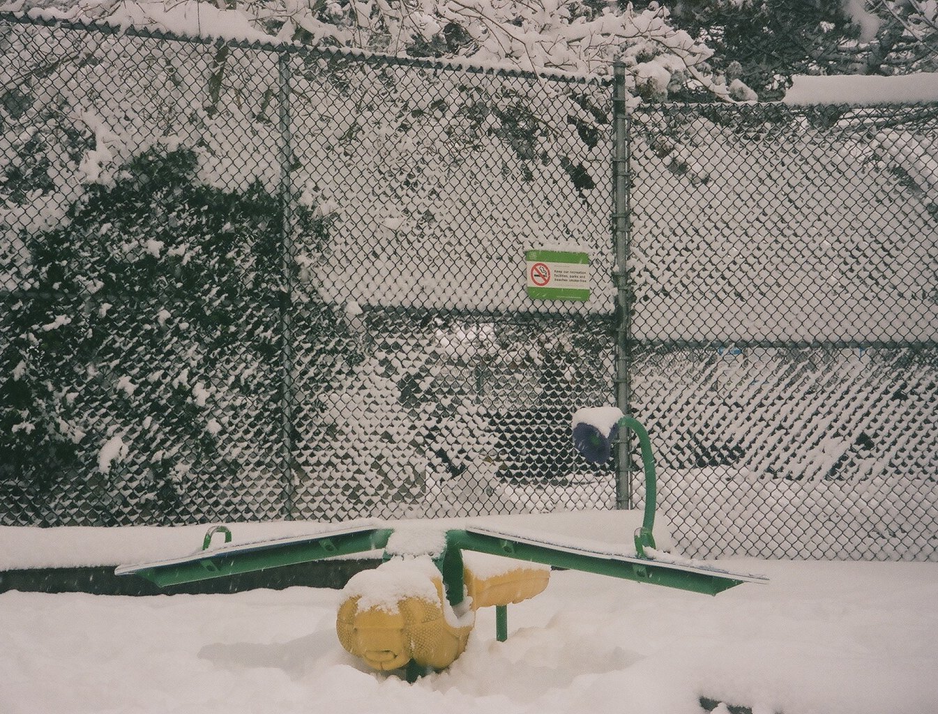 snowdays--10.jpg