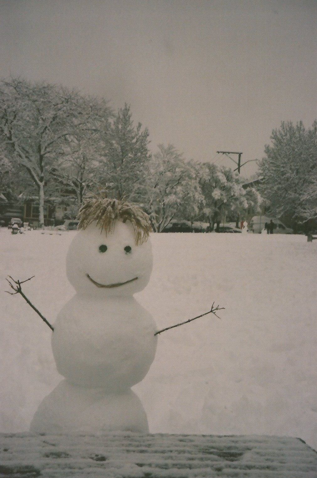 snowdays--01.jpg