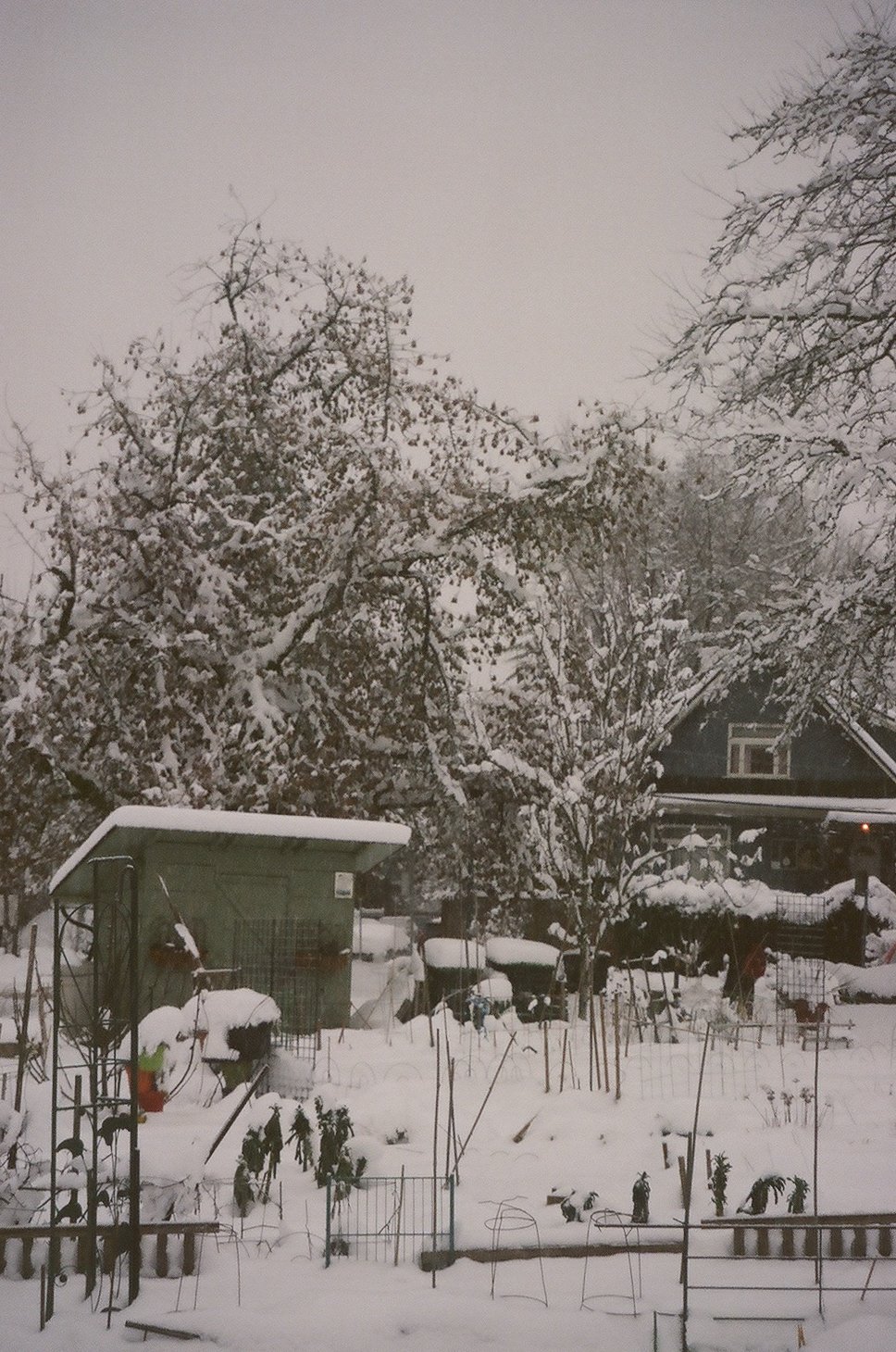 snowdays--06.jpg