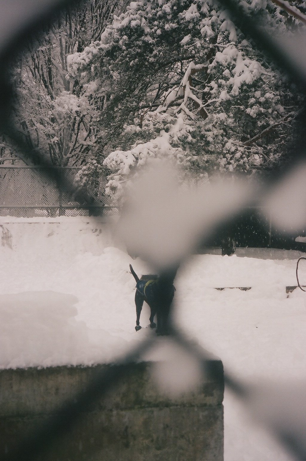 snowdays--09.jpg