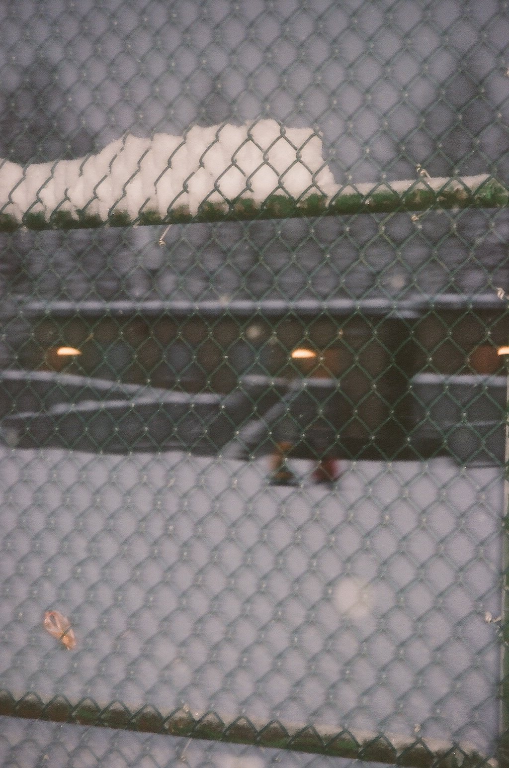 snowdays--16.jpg