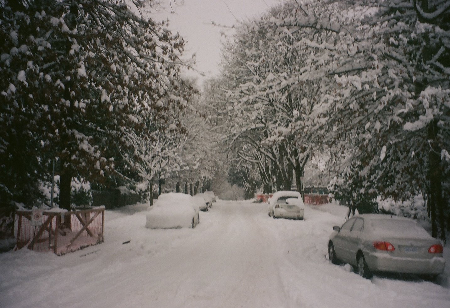 snowdays--17.jpg
